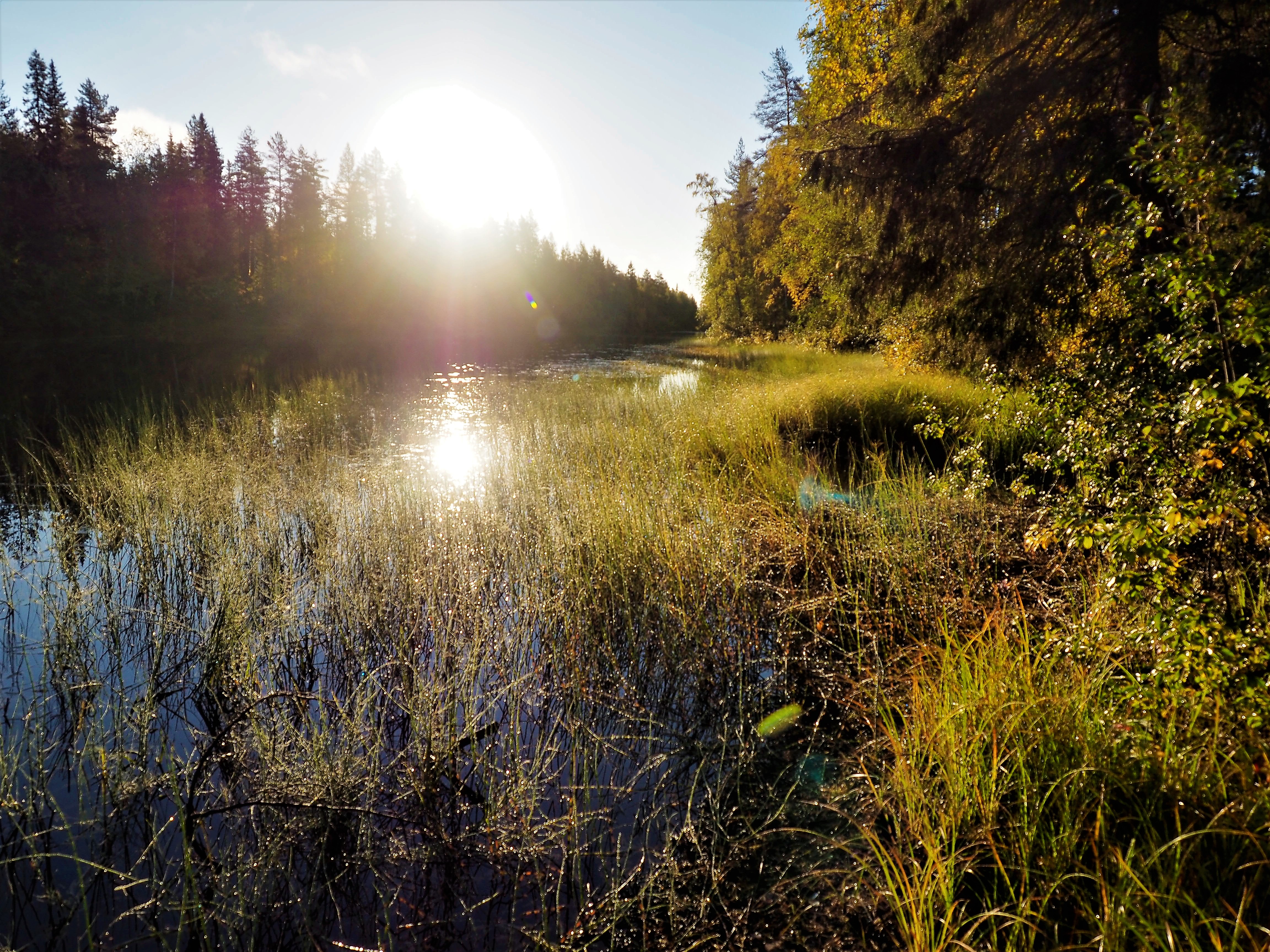 Jyrkkäkoski ja Pudasjärvi – 